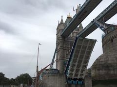 -北戴河圣蓝海洋公园