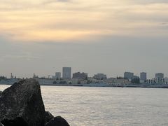 -上海滨江森林公园