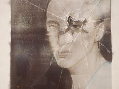 -【朵云轩艺术中心】博洛尼亚插画展·中国巡展·上海站