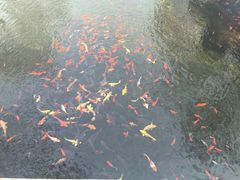 -水磨沟公园