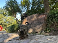 -狼山风景名胜区