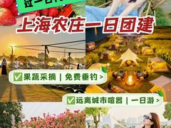 -栖露营camping·天幕烧烤·团建拓展·采摘营地