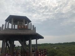 -北海金海湾红树林生态旅游区