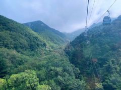 -泰山风景名胜区