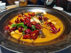 -柿合缘新京菜(国金中心商场店)