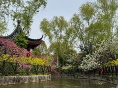 -南汇桃花村