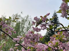 -棠湖公园
