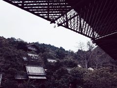 -海南槟榔谷黎苗文化旅游区