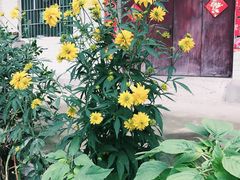 -王顺山国家森林公园