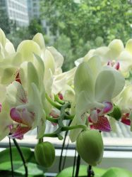 -变画·发型STUDIO