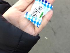 -金北顺大锅家(신사본점)