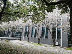 -东南大学(九龙湖校区)