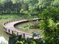 -西溪国家湿地公园