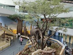 -武汉园博园(武汉自然博物馆)
