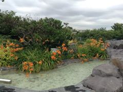 -吴淞炮台湾湿地森林公园烧烤区