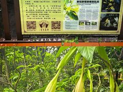 -广州神农草堂中医药博物馆