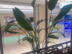 -旺顺阁鱼头泡饼(常营店)