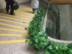 -首都医科大学附属北京同仁医院(西区)