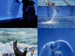 -多彩贵州城极地海洋世界