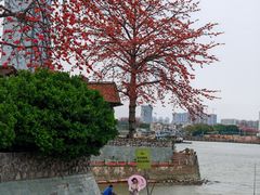 -喜洲吧·江畔老船厂·庭院餐厅(喜临院店)