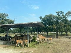 -西安秦岭野生动物园