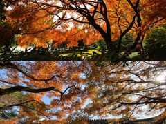 -北山街历史文化街区
