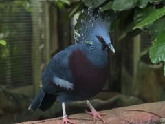 -清迈夜间动物园