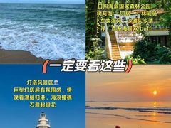 -日照海滨国家森林公园