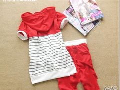 -广州白马服装市场