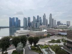 -新加坡文华东方酒店