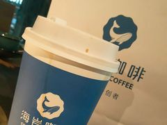 -海岩咖啡(南中环国金店)