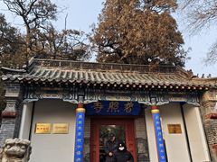 -泰山风景名胜区-普照寺