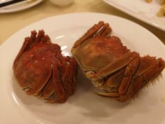 -王宝和酒家(黄浦店)