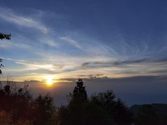 -武陵山森林公园