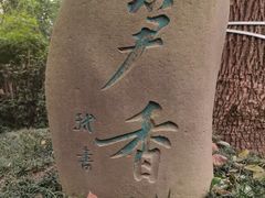-王家渡火锅(三苏祠店)