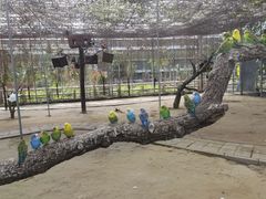 -呀路古热带植物园