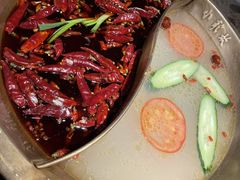 红白鸳鸯锅-小龙坎火锅(春熙太古里店)