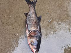 -姥家大锅台水库渔家