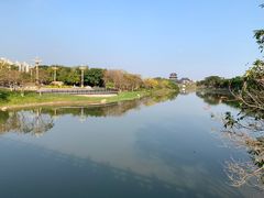 -海珠湖公园