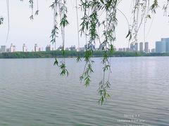 -艾溪湖湿地公园