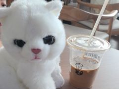-抱抱地球咖啡馆(国家海洋博物馆店)