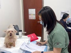 -美联众合动物医院·24h转诊中心