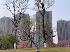 -府河摄影公园