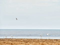 -青海湖仙女湾景区