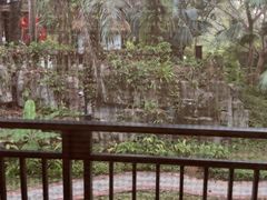-呀诺达热带雨林