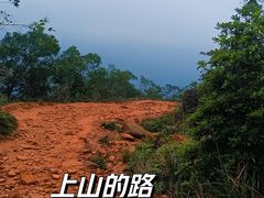 -梧桐山风景名胜区