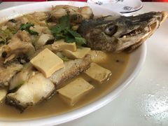 -煲来饱去冷水鱼