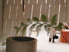 -二酉书店TOYOU BOOKS