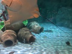 -沈阳海洋探索中心