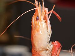 -淮扬府(安定门店)
